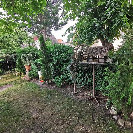 Kwatery U Zisi Miedzyzdroje Dış mekan fotoğraf